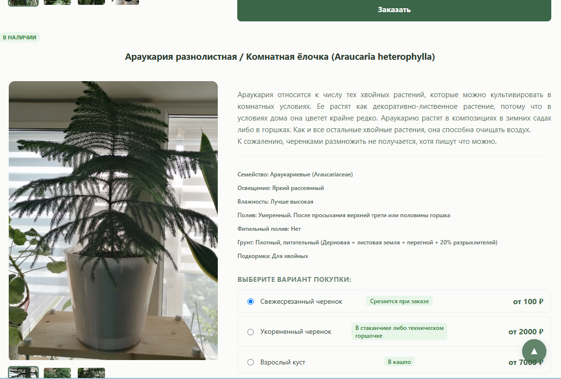 Интернет-магазин комнатных растений